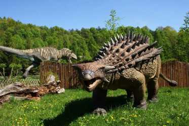 wycieczka jednodniowa